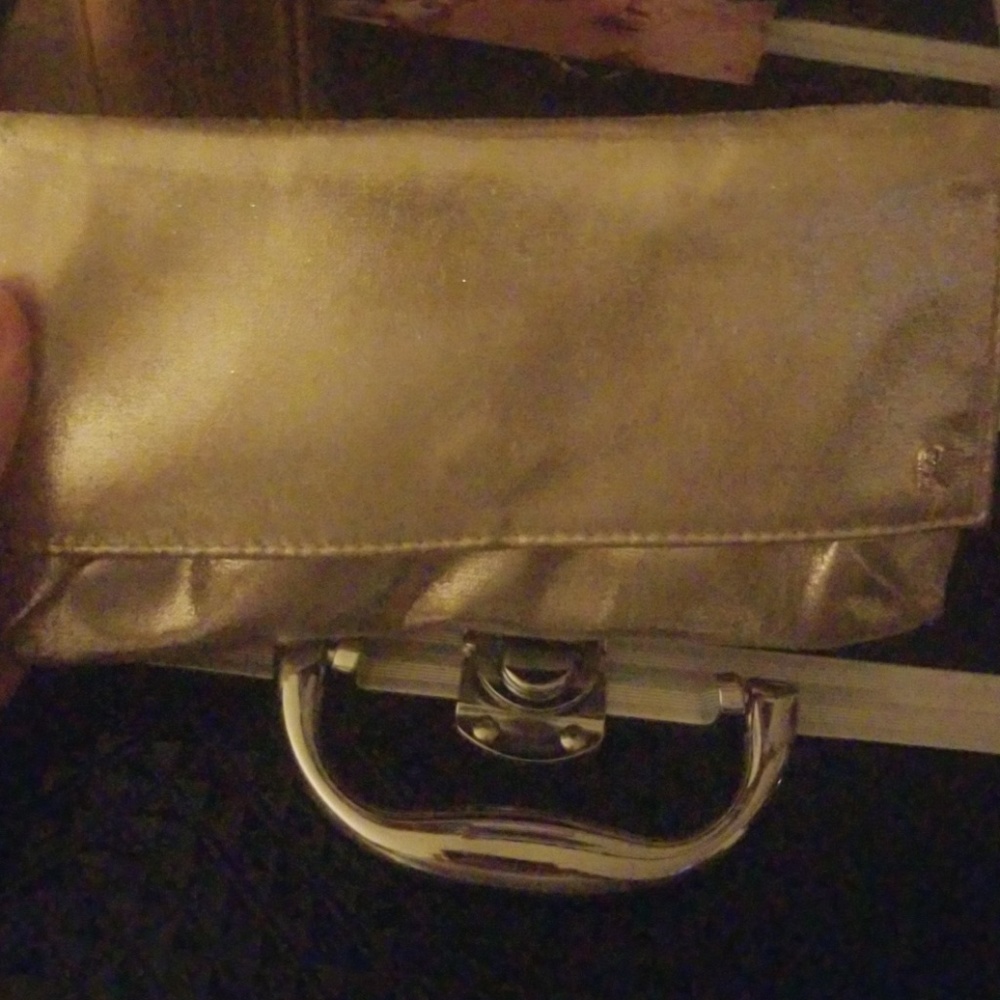 Wallet /clutch
